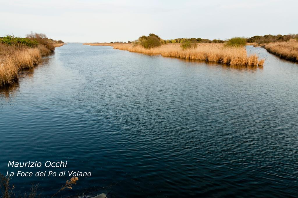 La Via Del Volano Hotel โคดิโกโร ภายนอก รูปภาพ